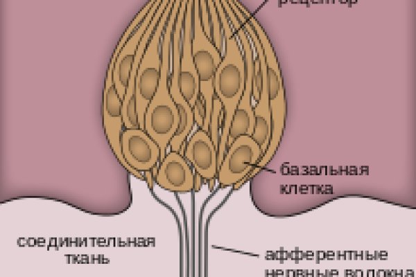 Ссылка кракен не работает