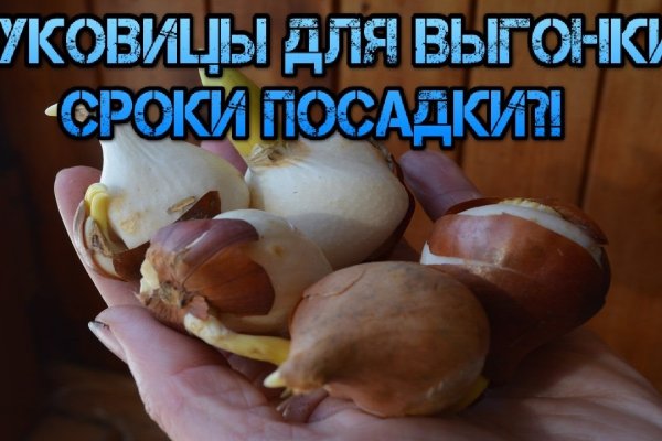 Как восстановить доступ к кракену