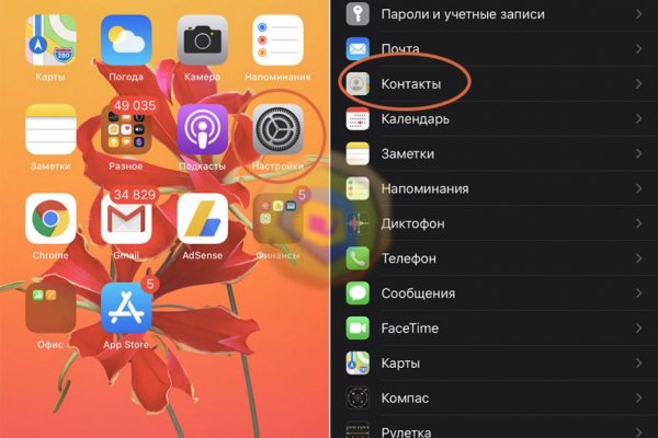 Ссылки на даркнет