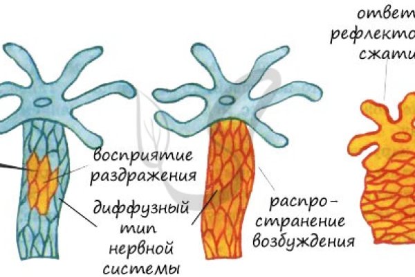 Магазины с наркотиками