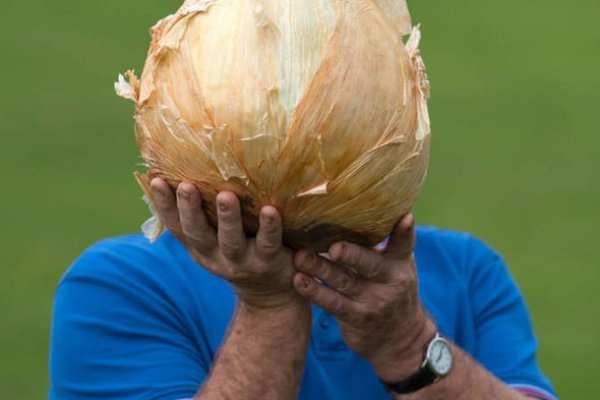 Tor kraken маркет