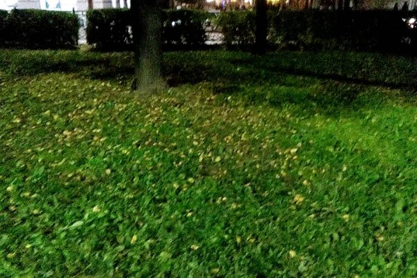 Кракен официальный