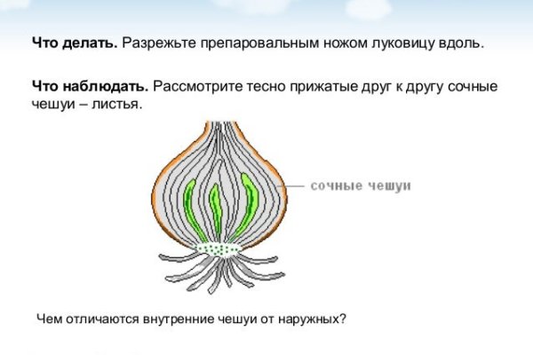 Kraken рабочее зеркало