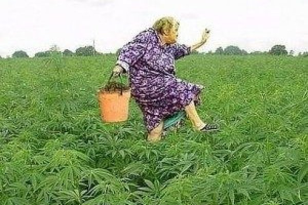 Kraken адрес
