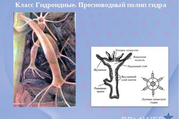 Kraken что это за сайт