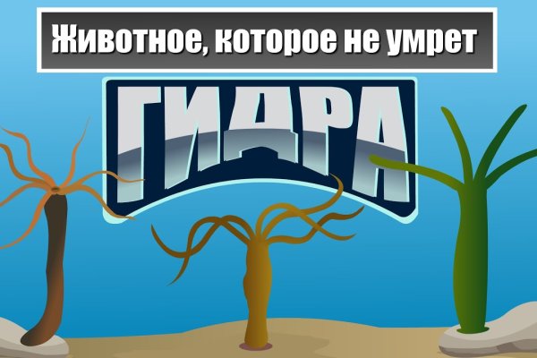 Кракен нарко шоп