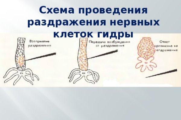 Гидра сайт в тор браузере ссылка