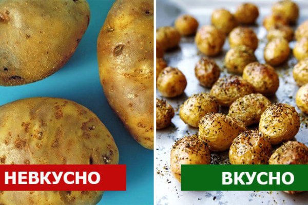 Даркнет вход